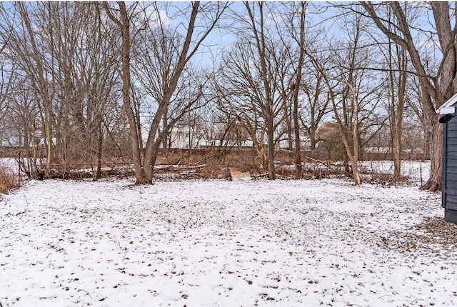 view of snowy yard