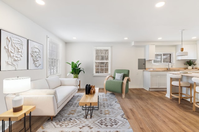 living room with light hardwood / wood-style flooring and electric panel