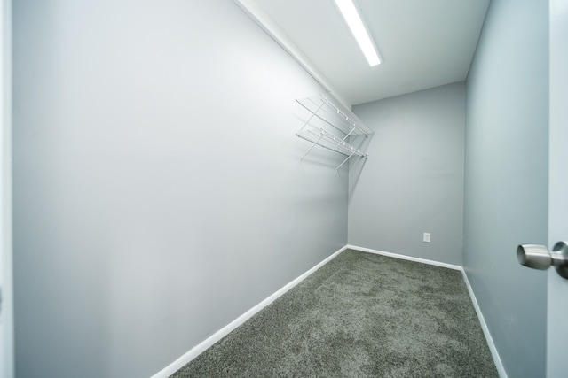 spacious closet with dark carpet