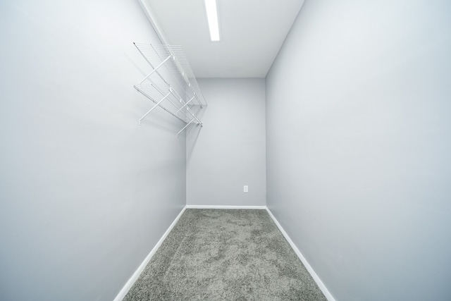 spacious closet with light carpet