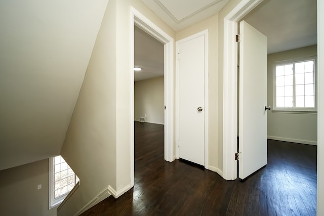 hallway featuring dark hardwood / wood-style floors