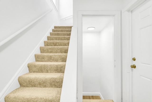 staircase with hardwood / wood-style flooring