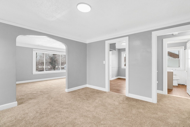 carpeted spare room featuring crown molding