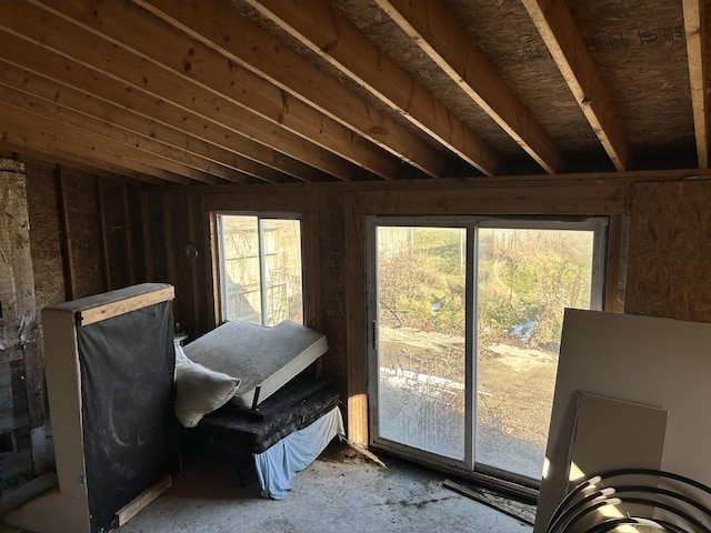 miscellaneous room with a wealth of natural light