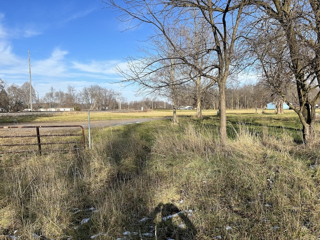 view of yard with a rural view