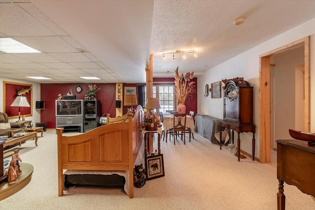 carpeted living room featuring a drop ceiling and a textured ceiling