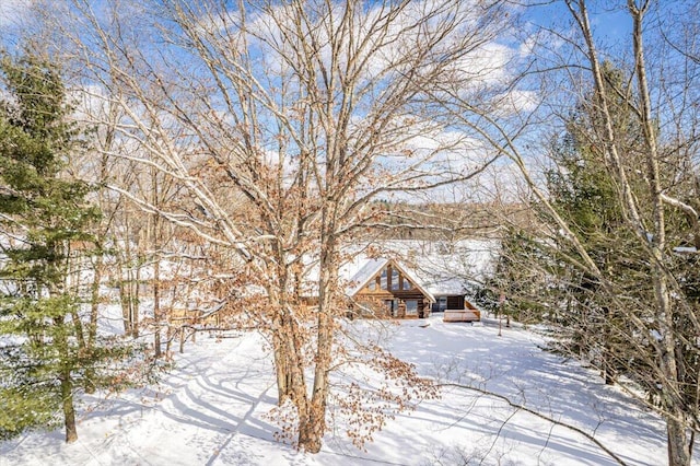 view of yard covered in snow