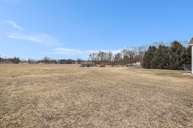 view of yard with a rural view