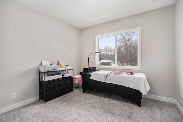 bedroom featuring carpet floors