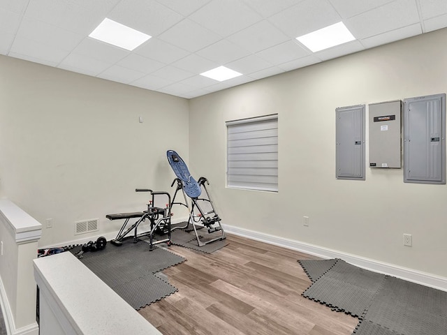 workout area featuring electric panel, light hardwood / wood-style floors, and a drop ceiling