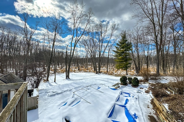 view of snowy yard