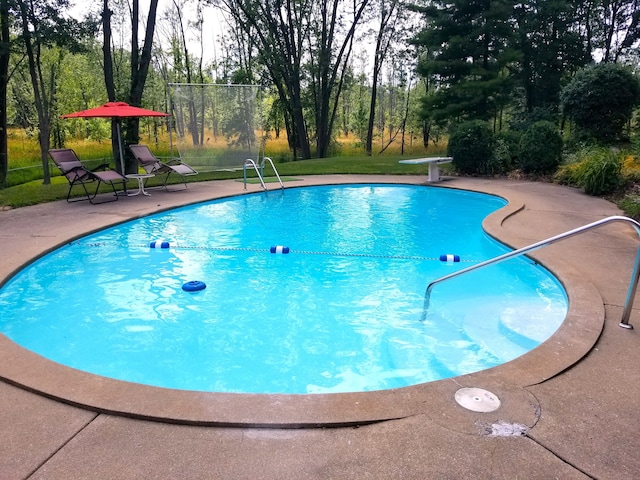 view of swimming pool featuring a patio area