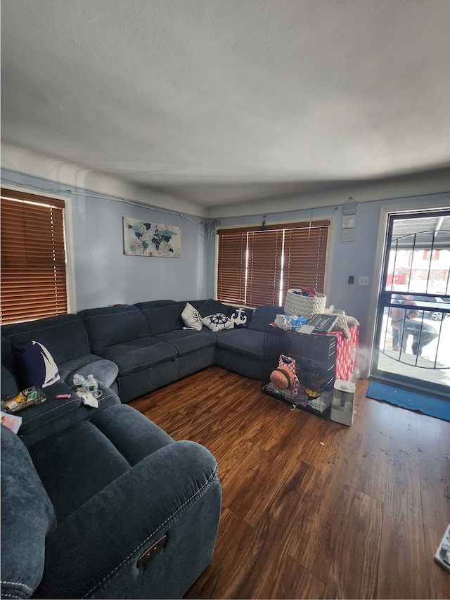 living room with wood-type flooring