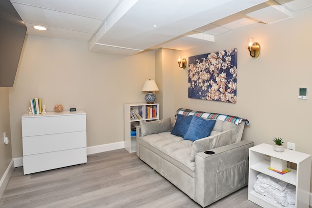 living room featuring light hardwood / wood-style flooring