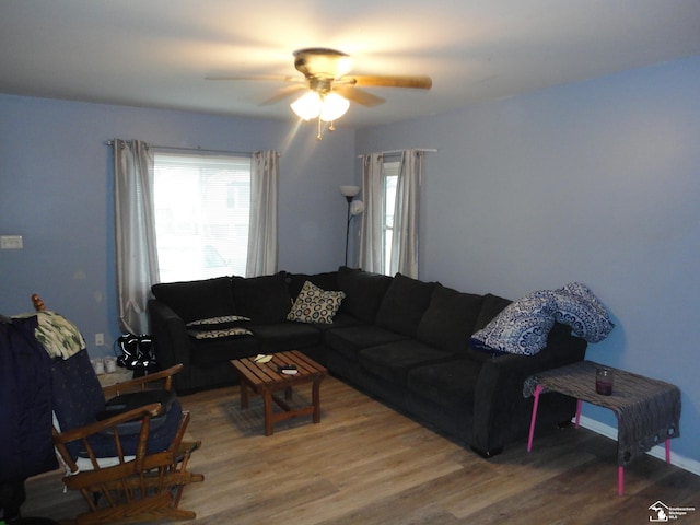 living room with hardwood / wood-style flooring and ceiling fan