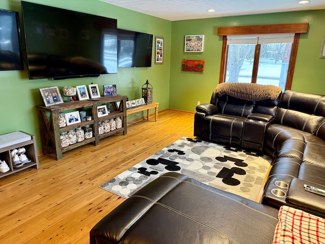 living room featuring hardwood / wood-style floors