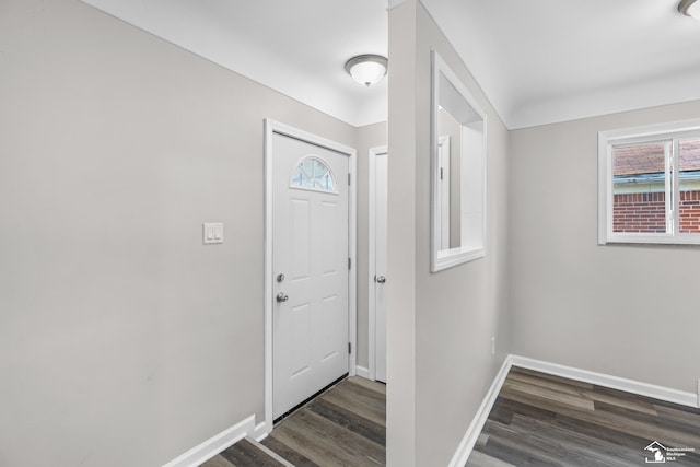 entrance foyer featuring dark hardwood / wood-style floors