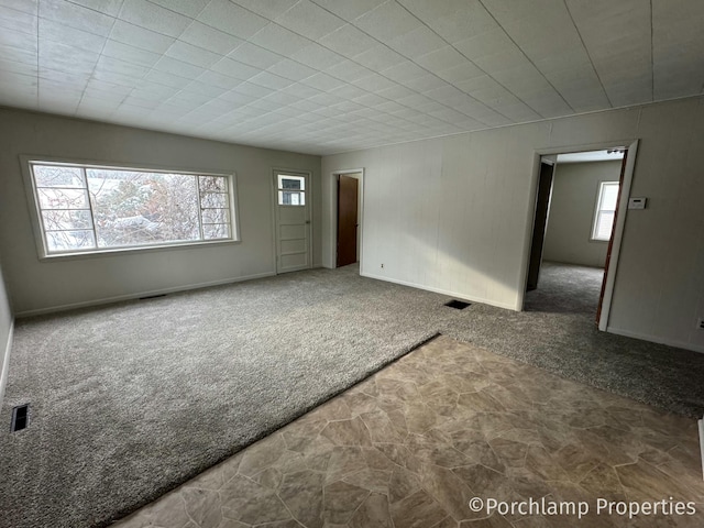 carpeted spare room featuring a wealth of natural light