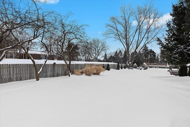 view of snowy yard