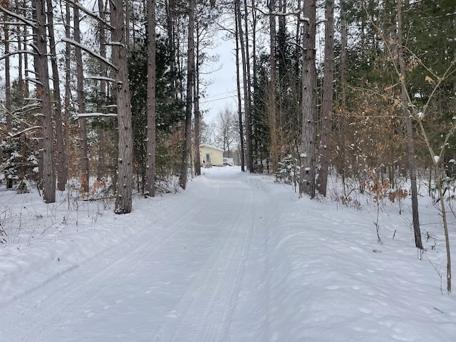 view of snowy yard