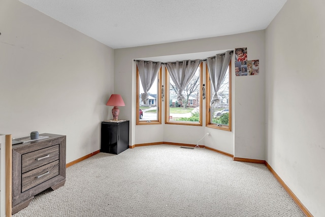 empty room featuring light carpet and a textured ceiling