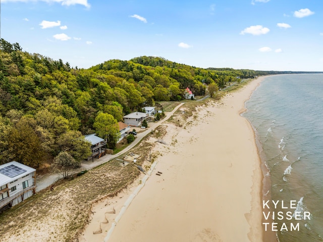 7042 S Montgomery, Pentwater, MI 49449 - drone / aerial view of extended coastline and a forest