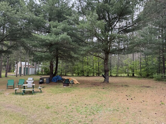 8210 N Johnson Rd, Irons, MI 49644 - view of yard