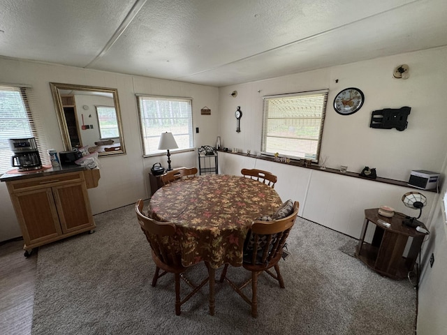 8210 N Johnson Rd, Irons, MI 49644 - carpeted dining space with plenty of natural light and a textured ceiling