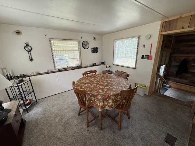 8210 N Johnson Rd, Irons, MI 49644 - dining room featuring carpet flooring and plenty of natural light