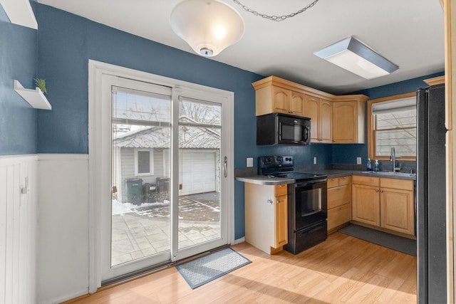 kitchen featuring plenty of natural light, light brown cabinets, a sink, and black appliances