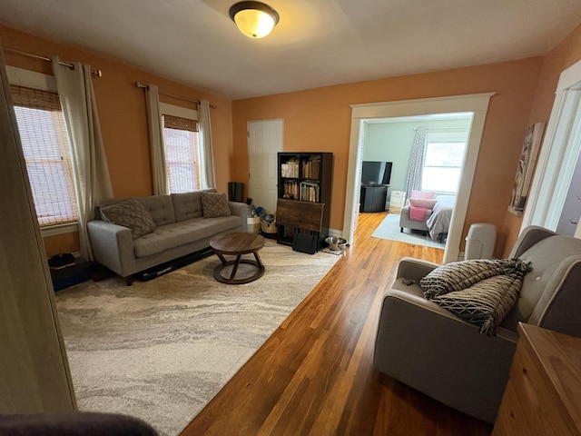 living room featuring hardwood / wood-style flooring