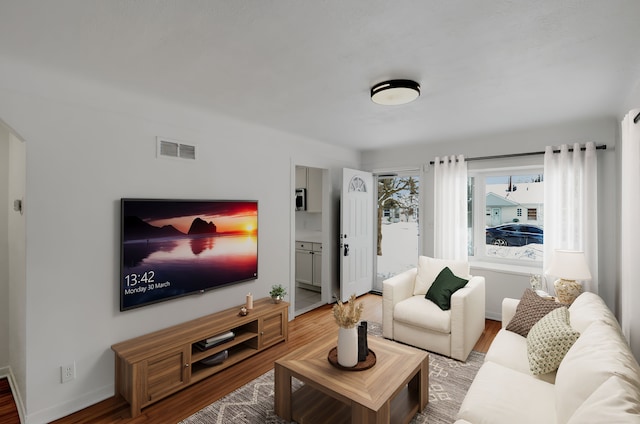 living room featuring hardwood / wood-style flooring