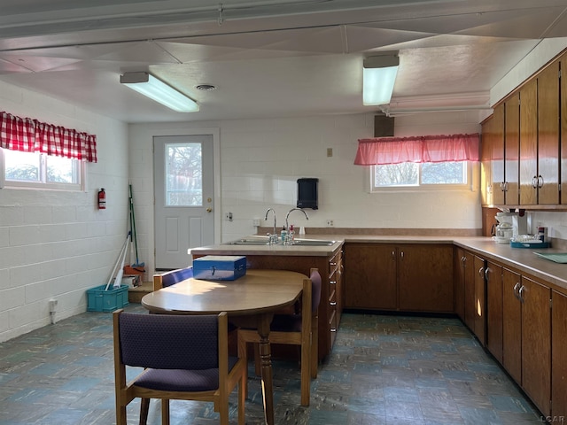 kitchen with sink