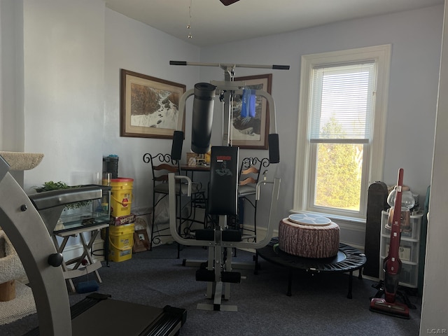 workout room featuring lofted ceiling and carpet flooring