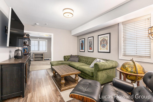 living room featuring light hardwood / wood-style flooring