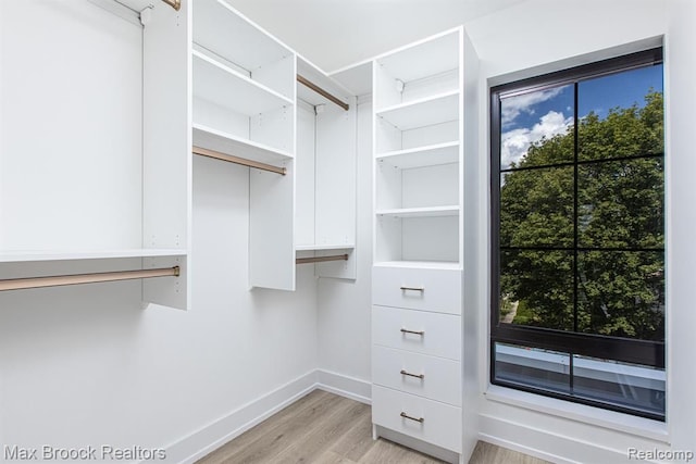 spacious closet featuring light wood-style floors