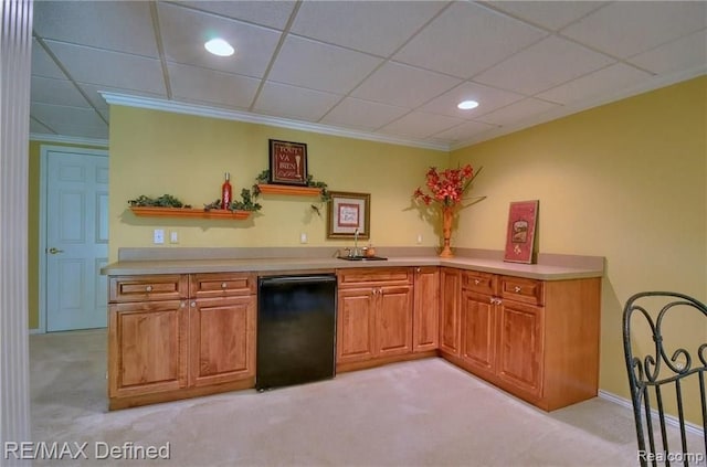 kitchen with a paneled ceiling, refrigerator, dishwasher, sink, and light colored carpet