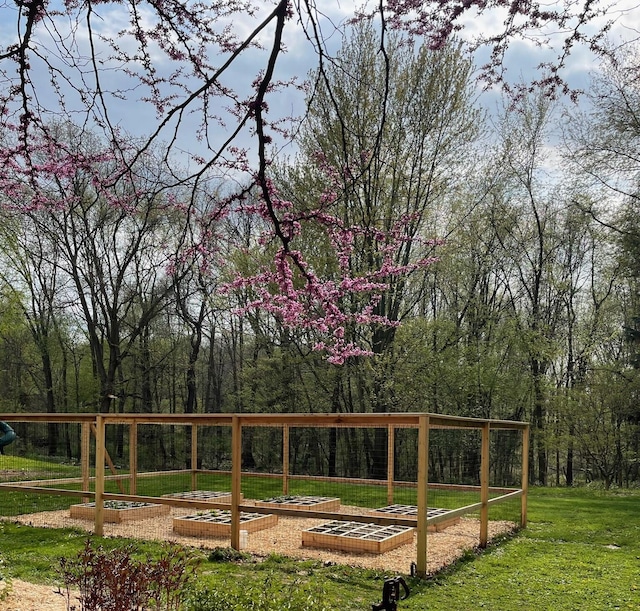 view of community with a yard and a vegetable garden