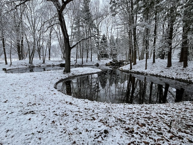 view of yard covered in snow