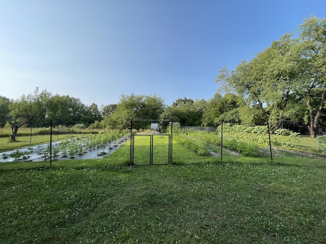 view of yard with a water view, fence, and a gate