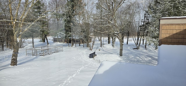 view of yard layered in snow