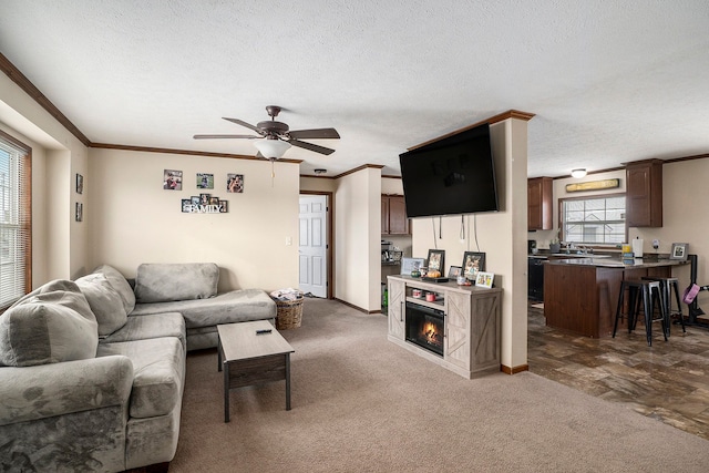 living area featuring ornamental molding, dark colored carpet, and a textured ceiling