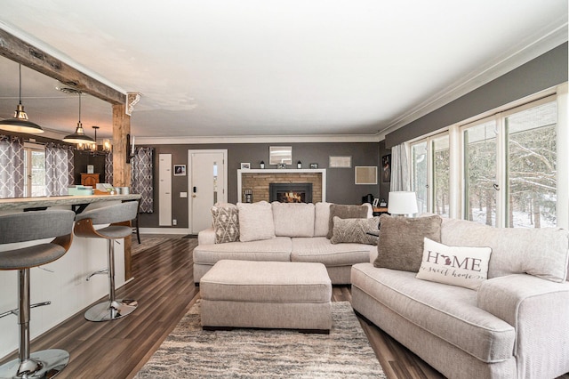 living room featuring dark wood-type flooring and crown molding