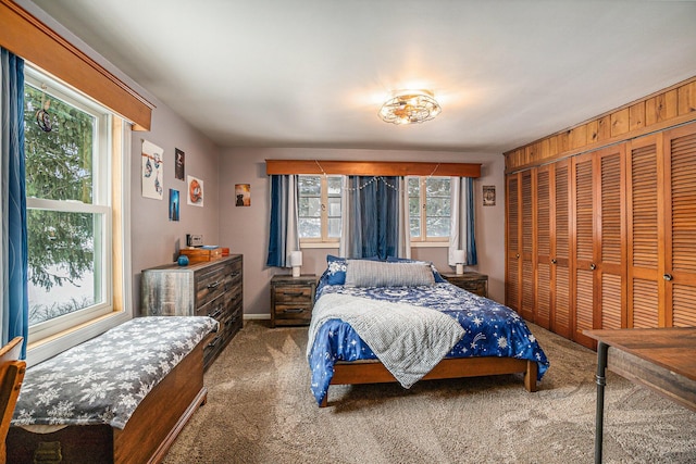 bedroom featuring carpet floors and a closet