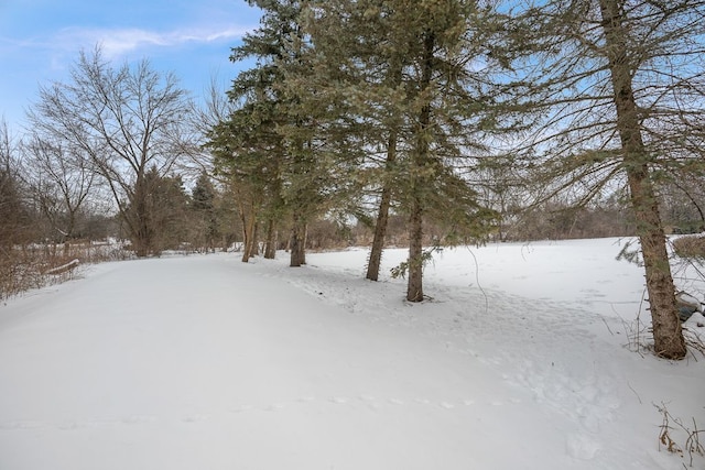 view of yard layered in snow