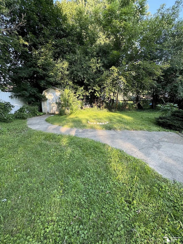 view of yard featuring a storage unit