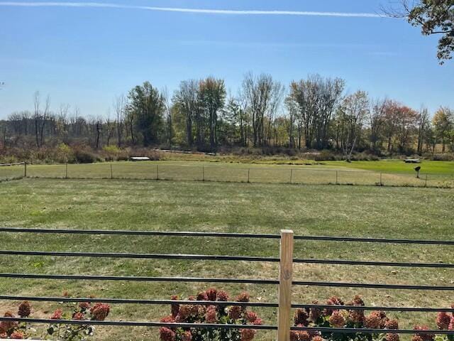 view of yard with a rural view