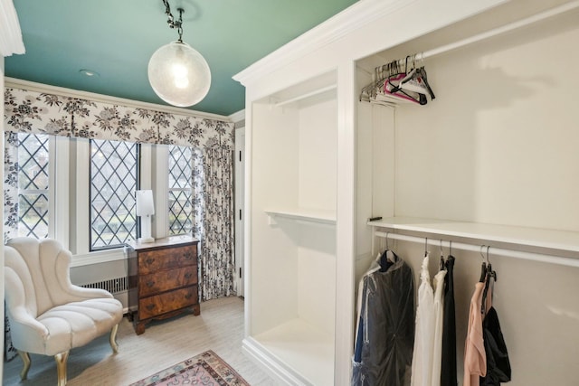 interior space with radiator and light wood-type flooring