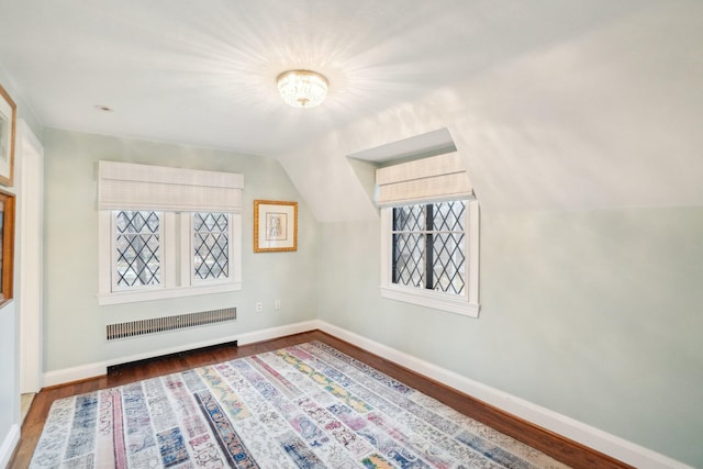 additional living space featuring wood-type flooring, vaulted ceiling, and radiator heating unit