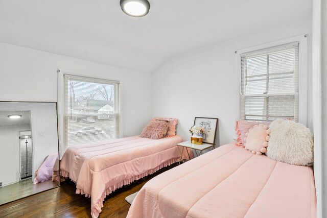 bedroom with lofted ceiling, multiple windows, and wood finished floors